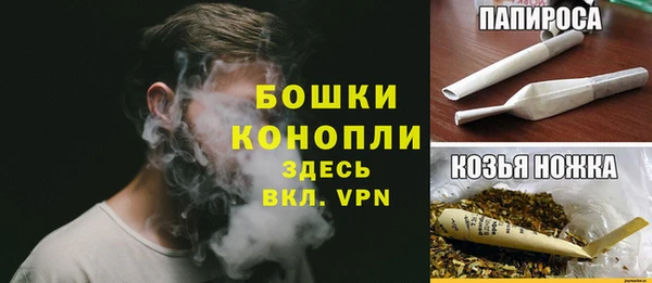 тгк Каменка