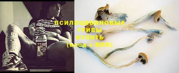 mdma Каменногорск