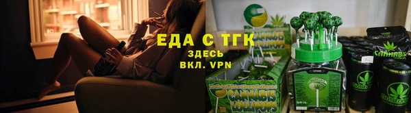тгк Каменка