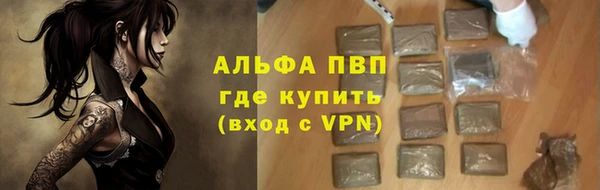 тгк Каменка