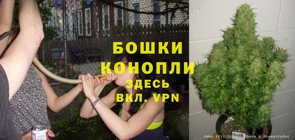 дмт Каменск-Шахтинский