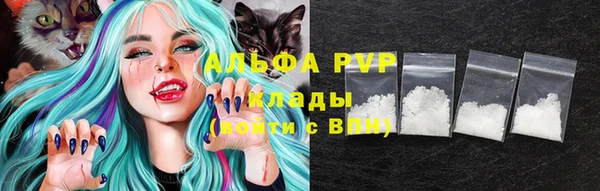 тгк Каменка