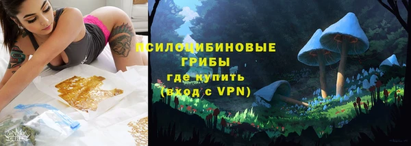 дмт Каменск-Шахтинский